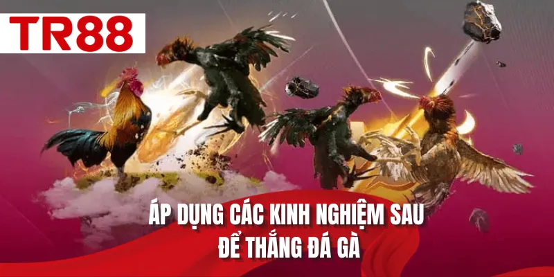 Áp dụng các kinh nghiệm sau để thắng đá gà